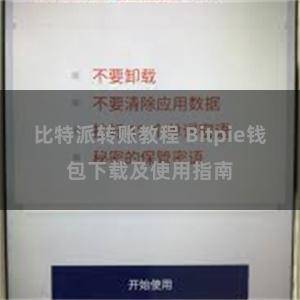 比特派转账教程 Bitpie钱包下载及使用指南