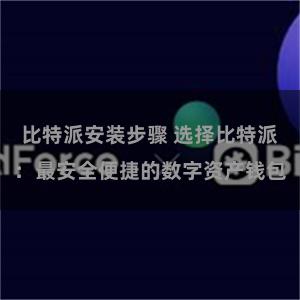 比特派安装步骤 选择比特派：最安全便捷的数字资产钱包