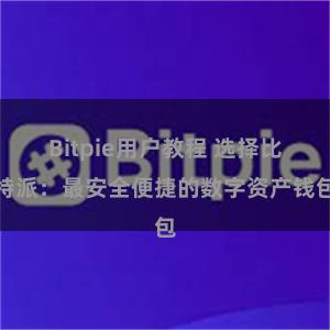 Bitpie用户教程 选择比特派：最安全便捷的数字资产钱包