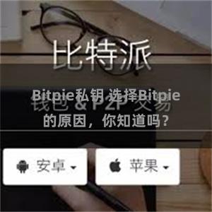 Bitpie私钥 选择Bitpie的原因，你知道吗？