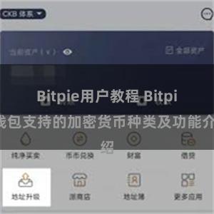 Bitpie用户教程 Bitpie钱包支持的加密货币种类及功能介绍