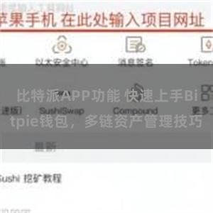 比特派APP功能 快速上手Bitpie钱包，多链资产管理技巧