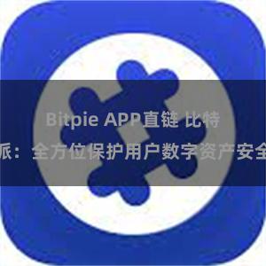 Bitpie APP直链 比特派：全方位保护用户数字资产安全