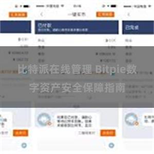 比特派在线管理 Bitpie数字资产安全保障指南