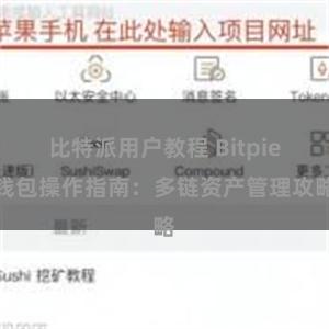 比特派用户教程 Bitpie钱包操作指南：多链资产管理攻略