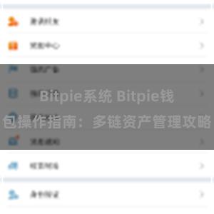 Bitpie系统 Bitpie钱包操作指南：多链资产管理攻略