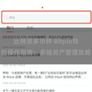 比特派多币种 Bitpie钱包操作指南：多链资产管理攻略