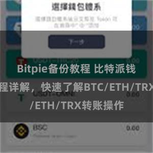 Bitpie备份教程 比特派钱包转账教程详解，快速了解BTC/ETH/TRX转账操作