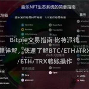 Bitpie交易指南 比特派钱包转账教程详解，快速了解BTC/ETH/TRX转账操作