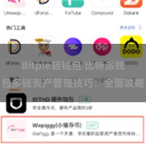 Bitpie轻钱包 比特派钱包多链资产管理技巧：全面攻略