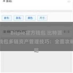 Bitpie官方钱包 比特派钱包多链资产管理技巧：全面攻略