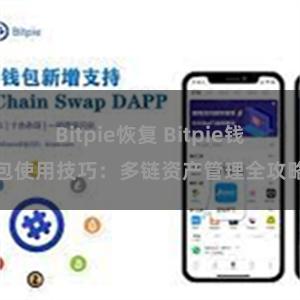 Bitpie恢复 Bitpie钱包使用技巧：多链资产管理全攻略