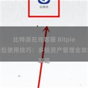 比特派在线客服 Bitpie钱包使用技巧：多链资产管理全攻略